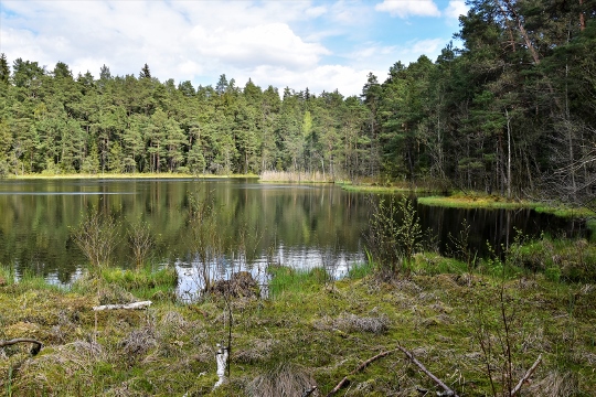 הפארק הלאומי ויגרי בצפון פולין - אטרקציה בחיק הטבע לכל המשפחה