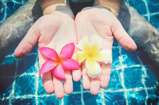 דומבקי - Dąbki