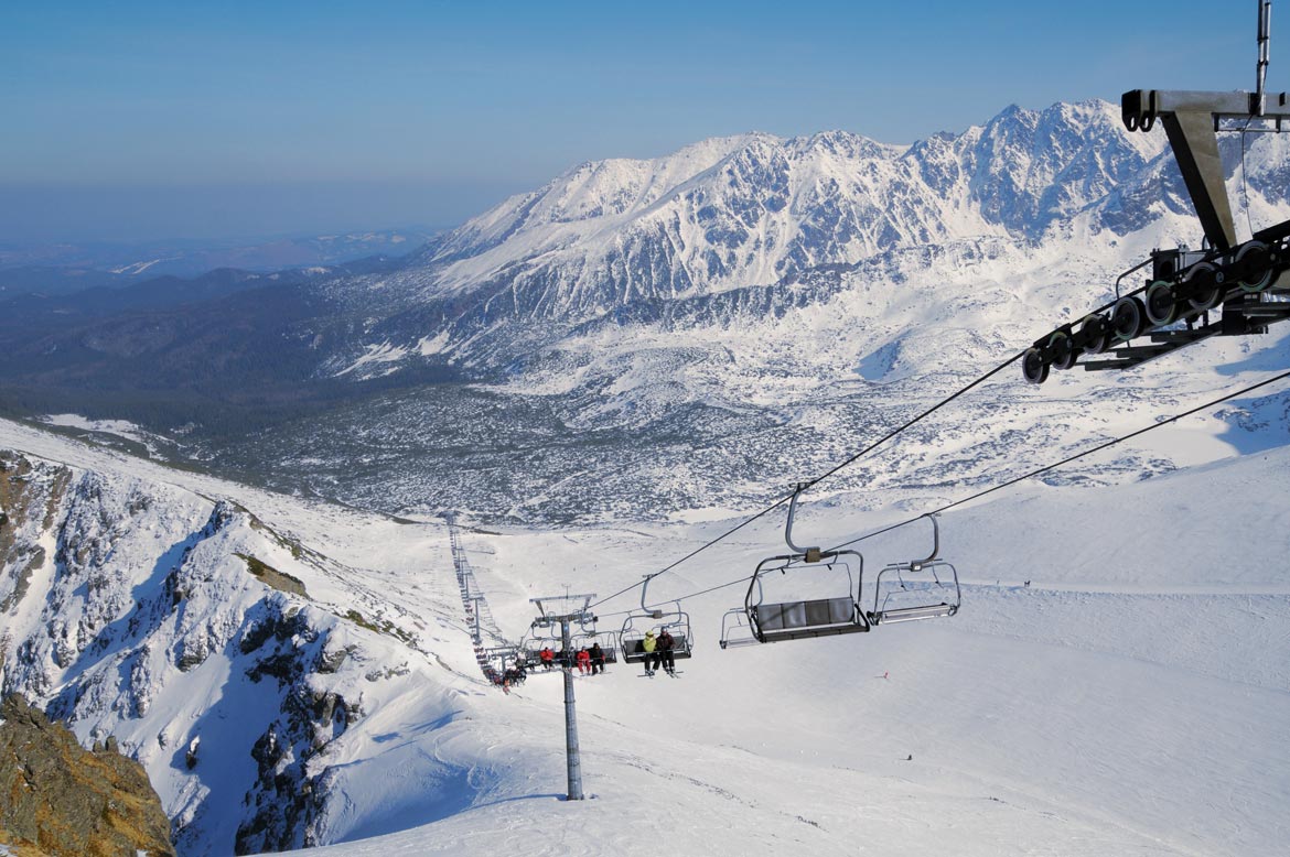 גולשים אל היופי